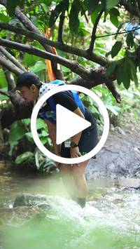 BIB:  <button type="button" onclick="openModal(27481948)" class="btn btn-primary btn-sm float-right" data-toggle="modal" data-target=".modal-high-quality">
                <i class="fa fa-download"></i> Download
                </button>